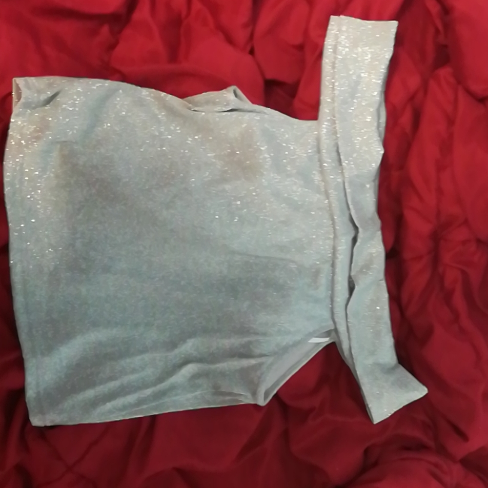 Crop top (silver, from Forever 21, almost new)